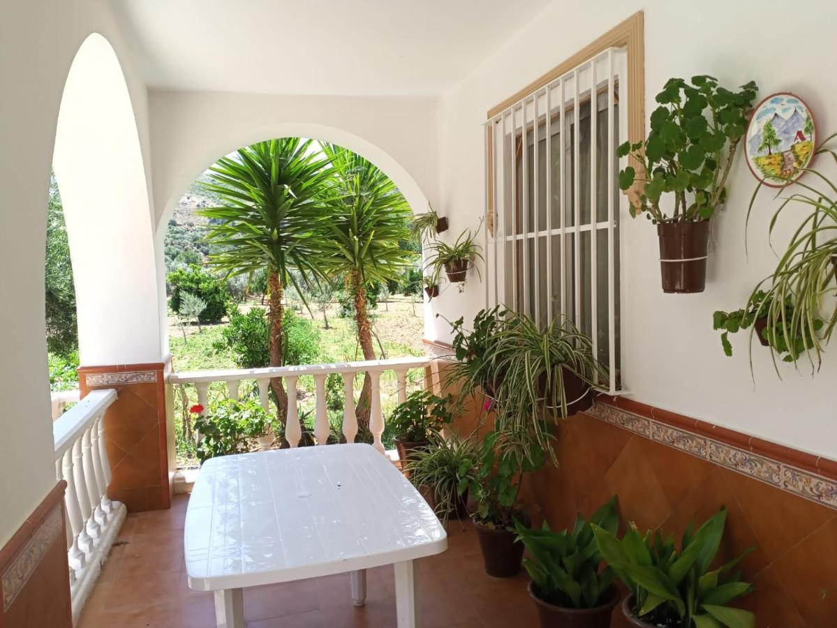 Casa Las Vicarias オルベラ エクステリア 写真